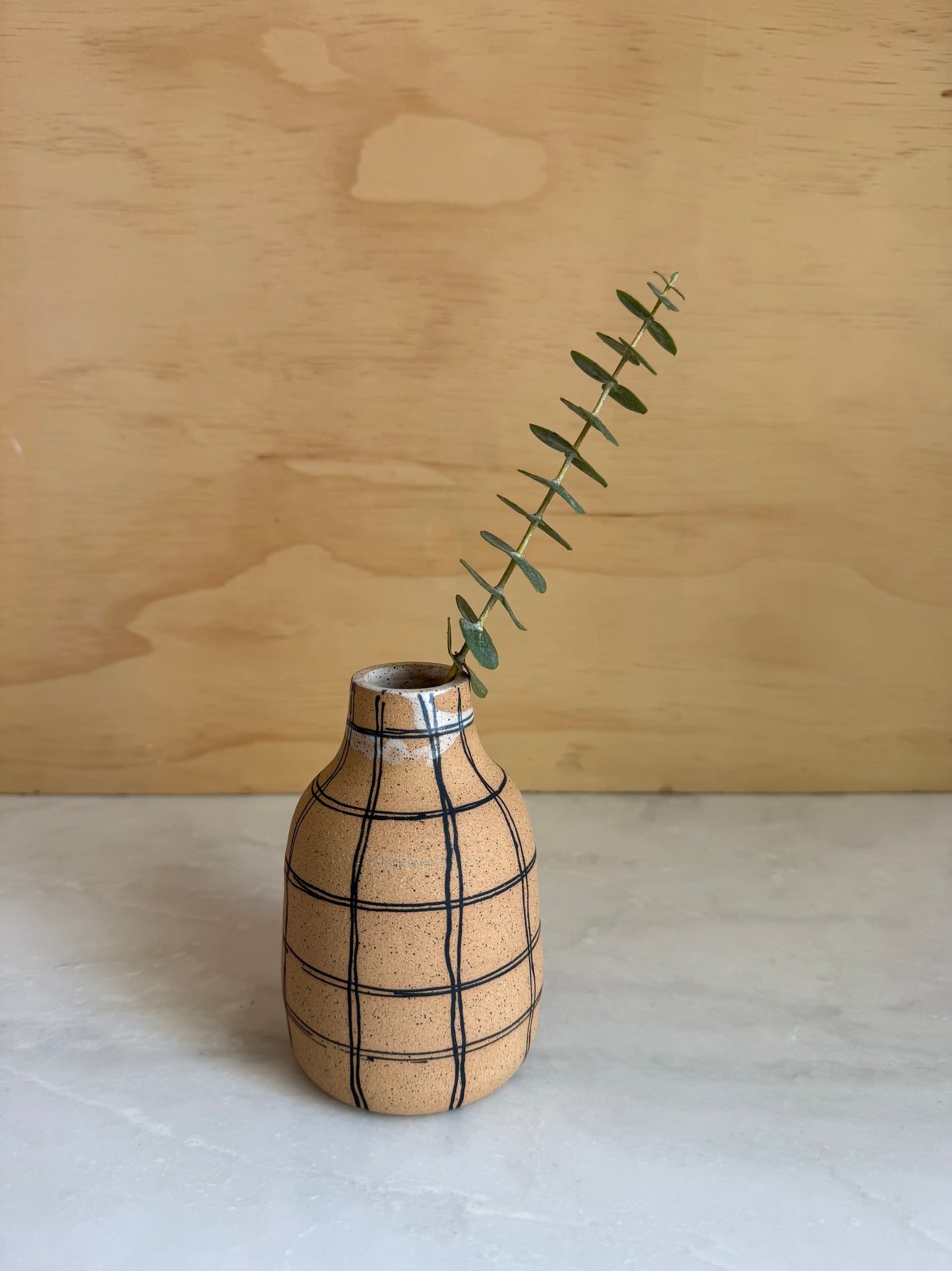 Handmade vase with painted stripes with eucalyptus plant
