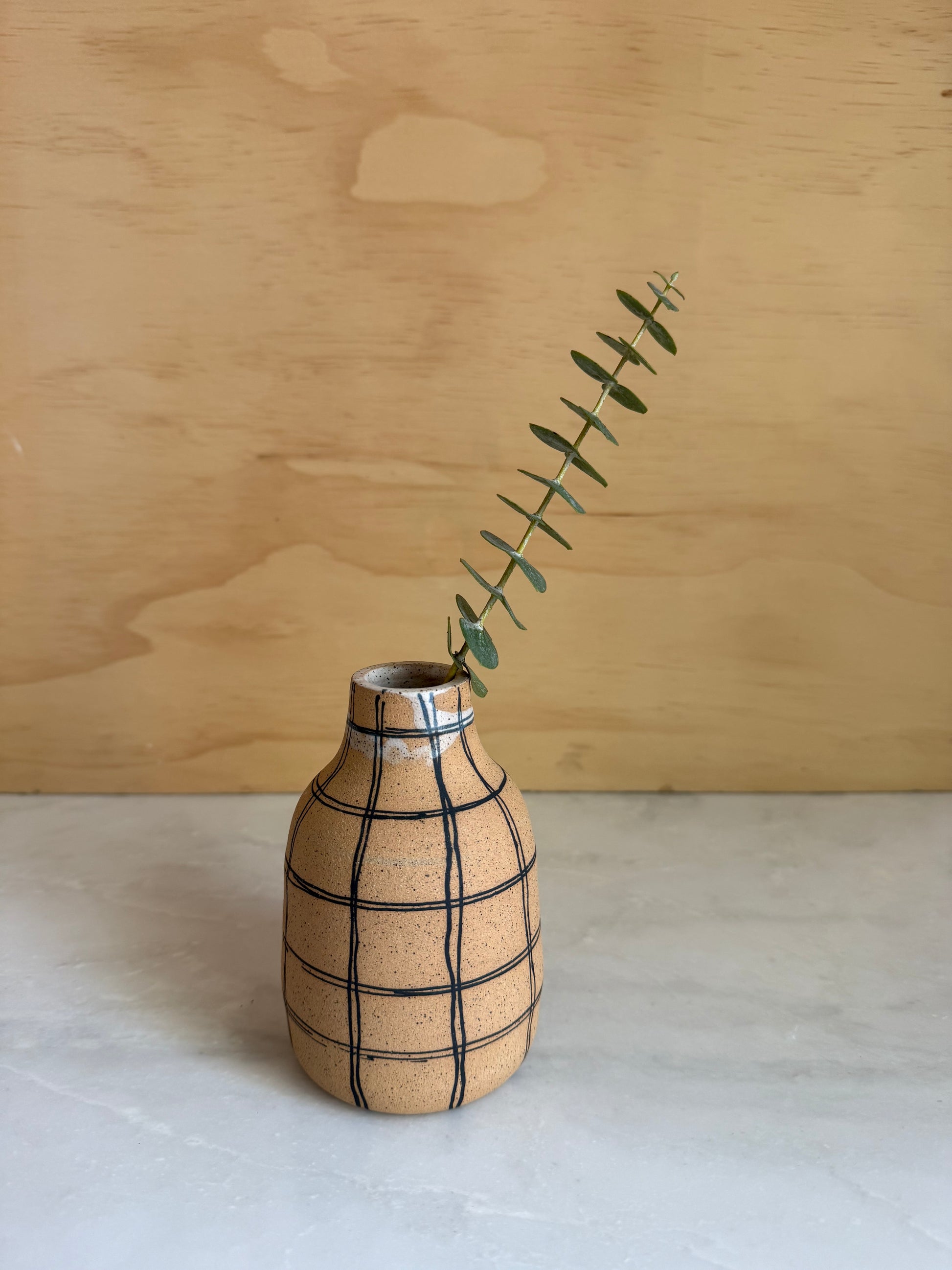 Handmade vase with painted stripes with eucalyptus plant