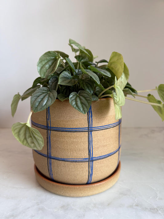 Plaid Ceramic Planter w/ Tray