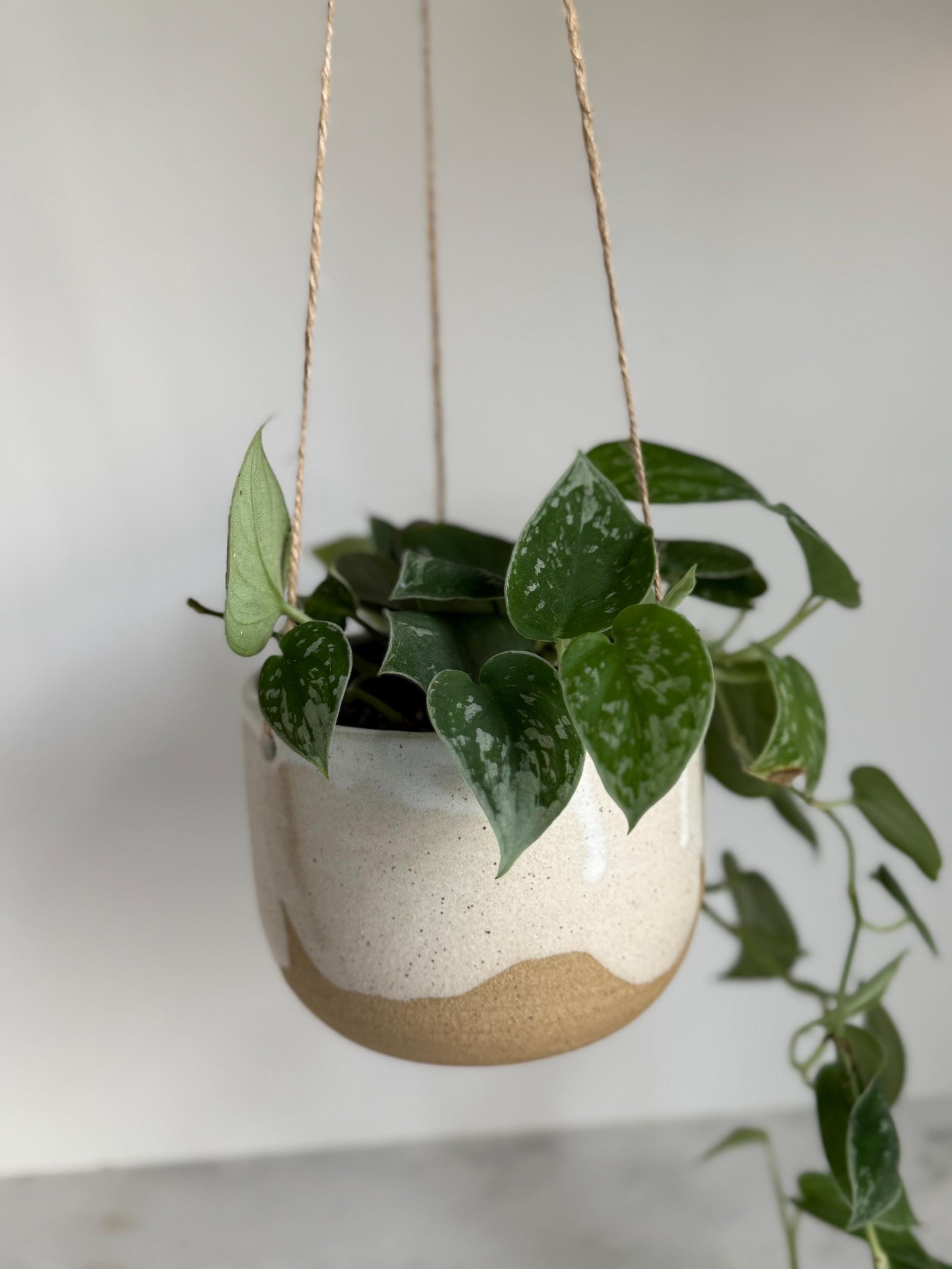 Hanging Planter - Speckled Cream