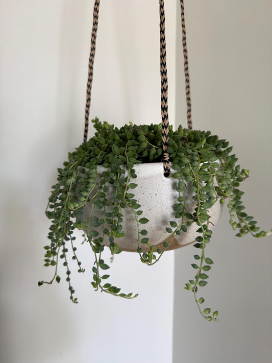 Ceramic Hanging Planter -Specked Cream - 9 inch