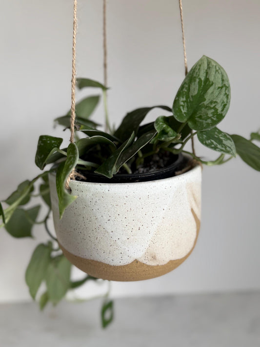 Hanging Planter - Speckled Cream - 5.5 diam