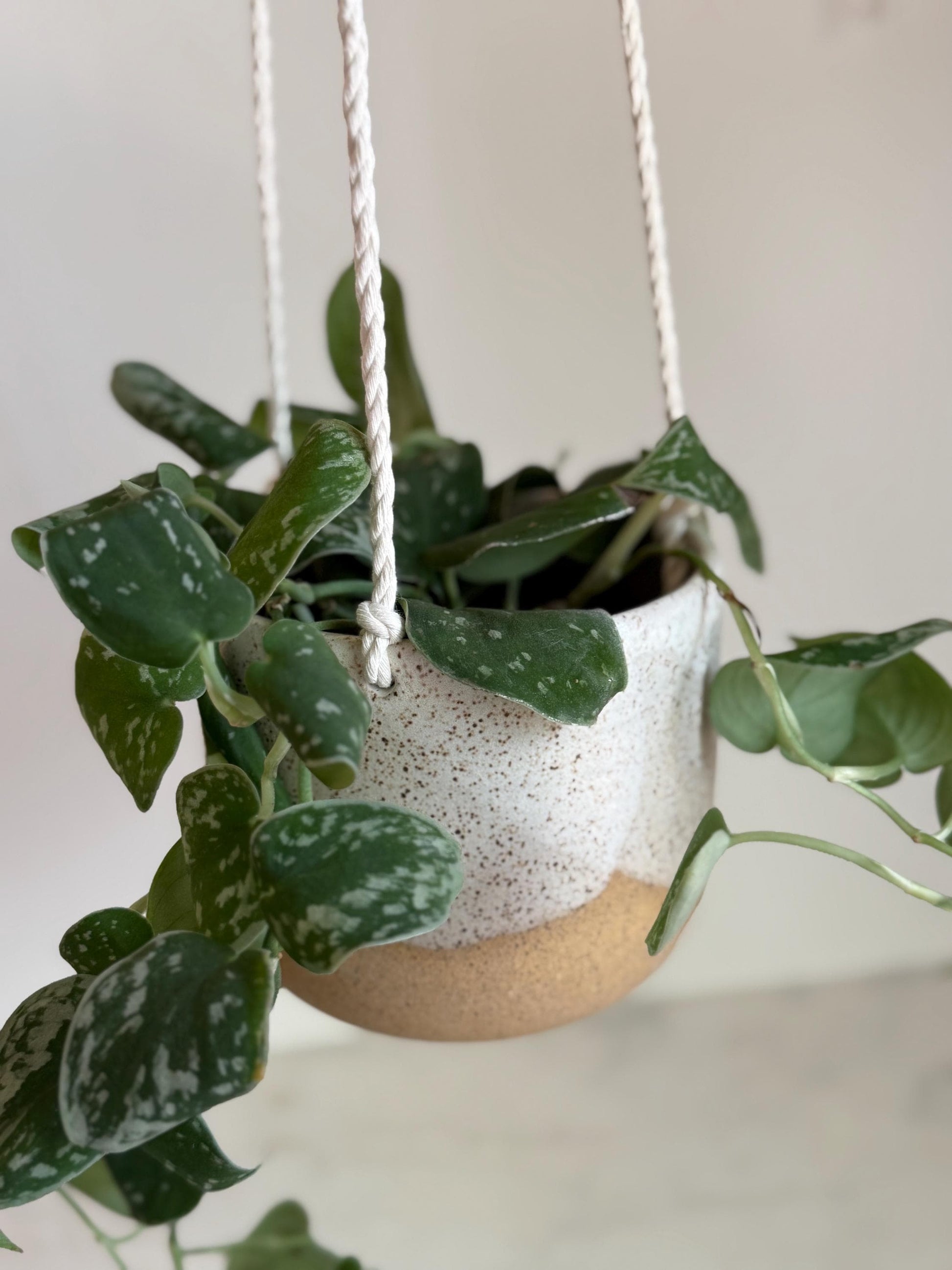 Handmade Speckled White Hanging Planter