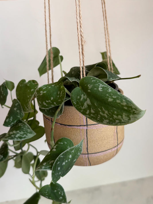 Handmade Purple and Black Plaid, Hanging Planter