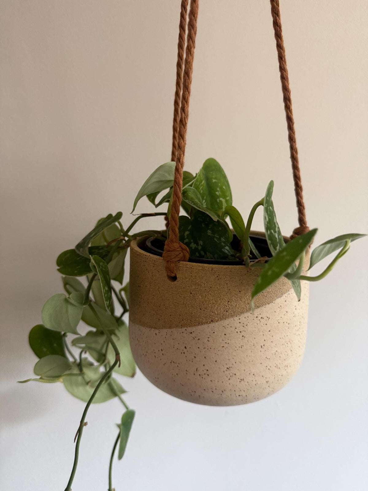 Hanging Planter - Angled Cream