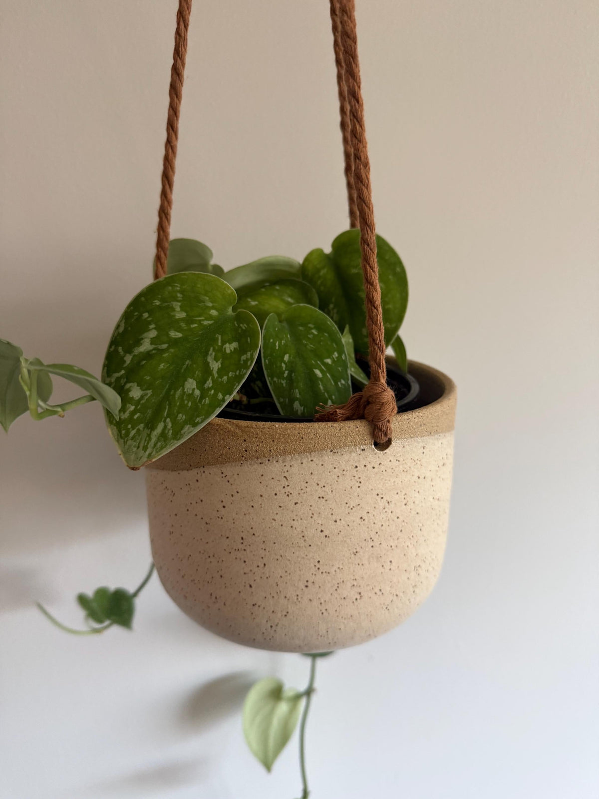 Hanging Planter - Angled Cream