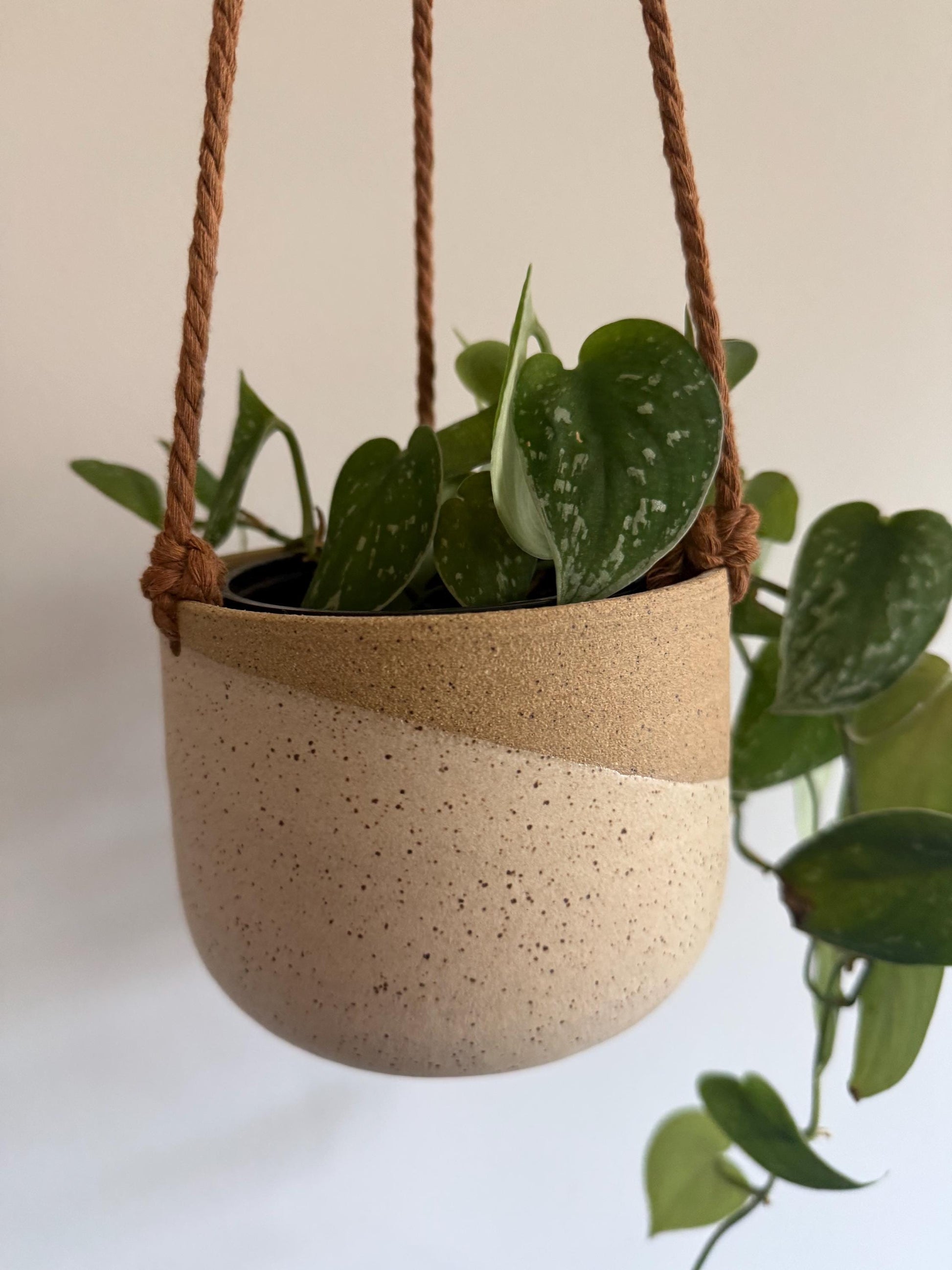 Hanging Planter - Angled Cream