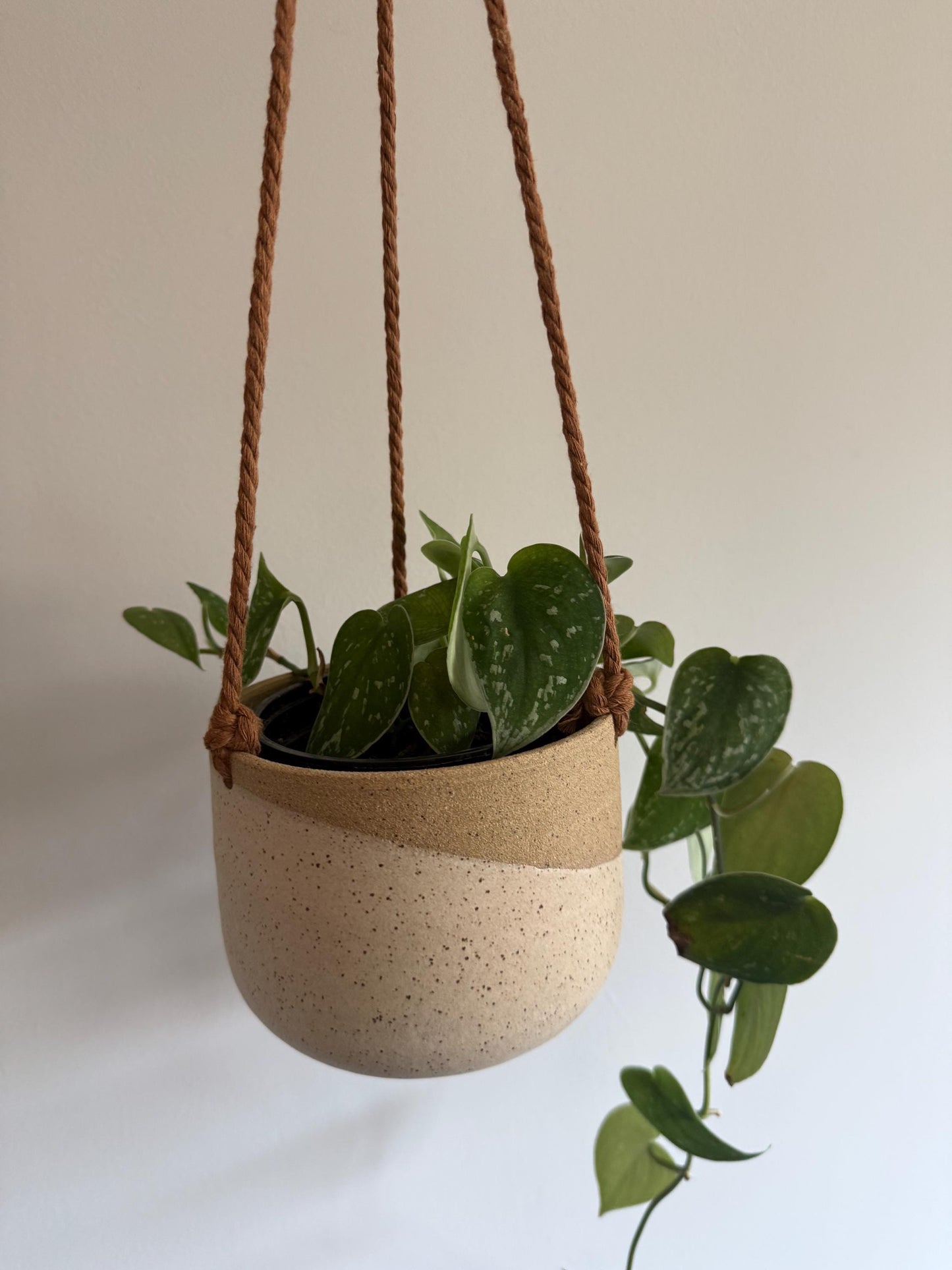 Hanging Planter - Angled Cream