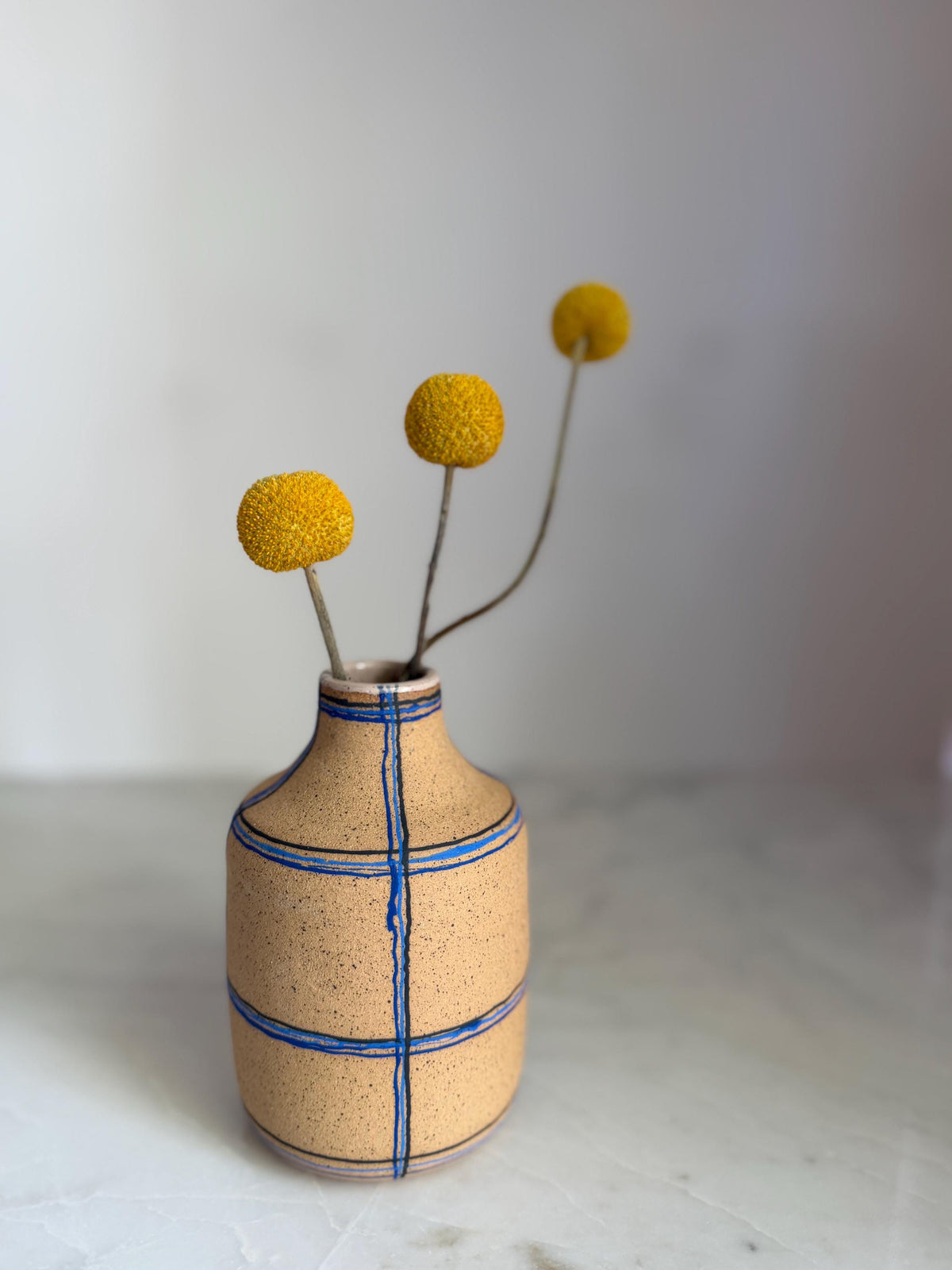 Blue Plaid Soap Dispenser / Vase